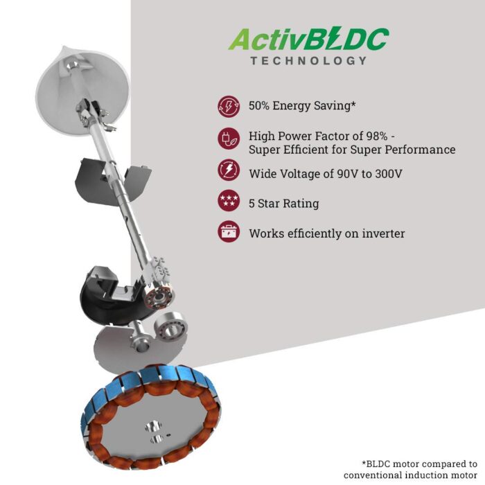 615jf7cgKKL._SL1080_