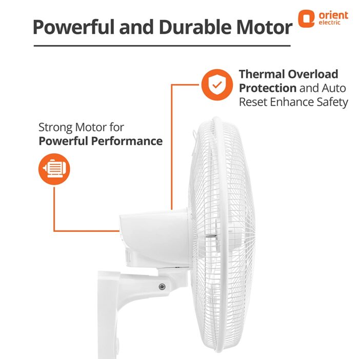 71GlOqsCTlL._SL1500_