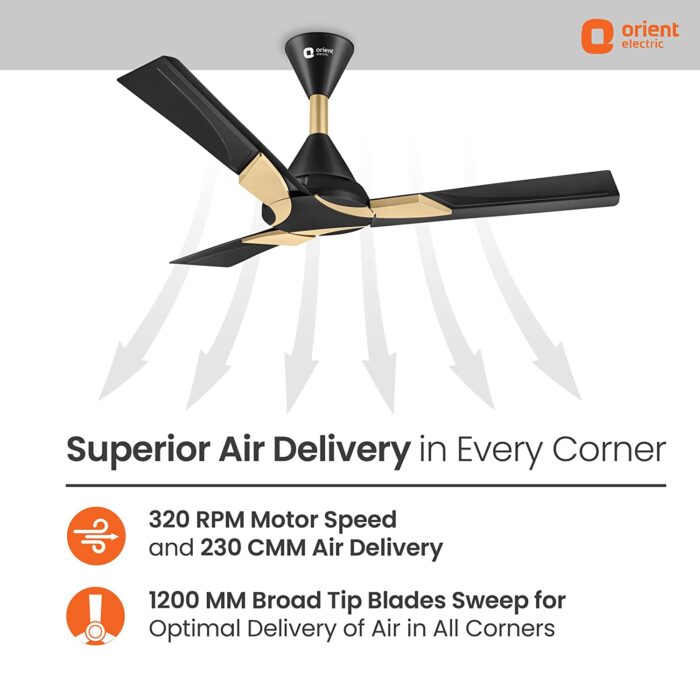 71ZmVC1l5rL._SL1500_