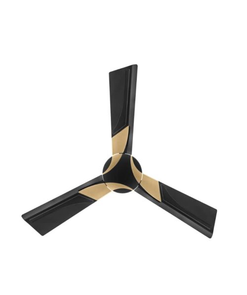 orient-electic-wendy-black-and-gold.jpg